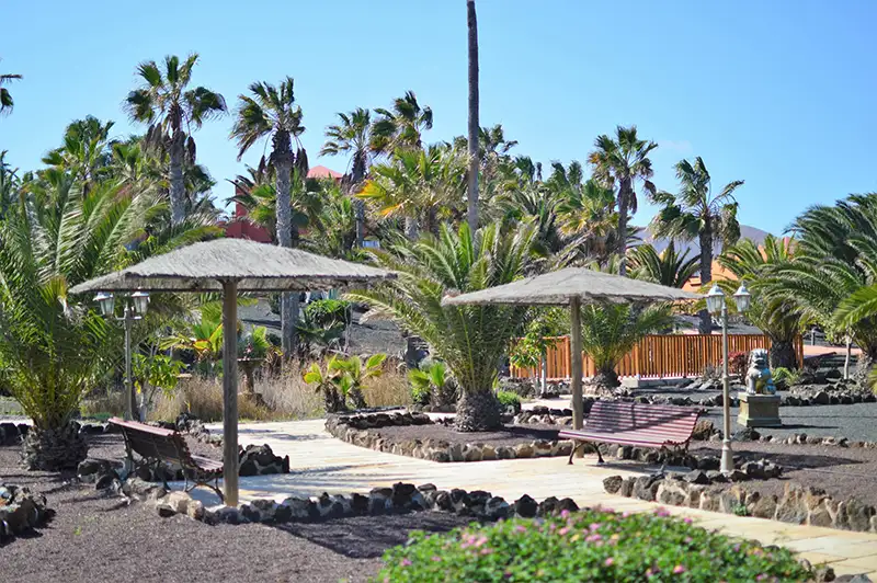 Royal Sunshine, Oasis Royal Corralejo - foto 7