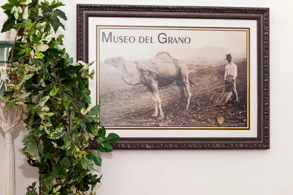 Seña Catalina, La Oliva - foto 18