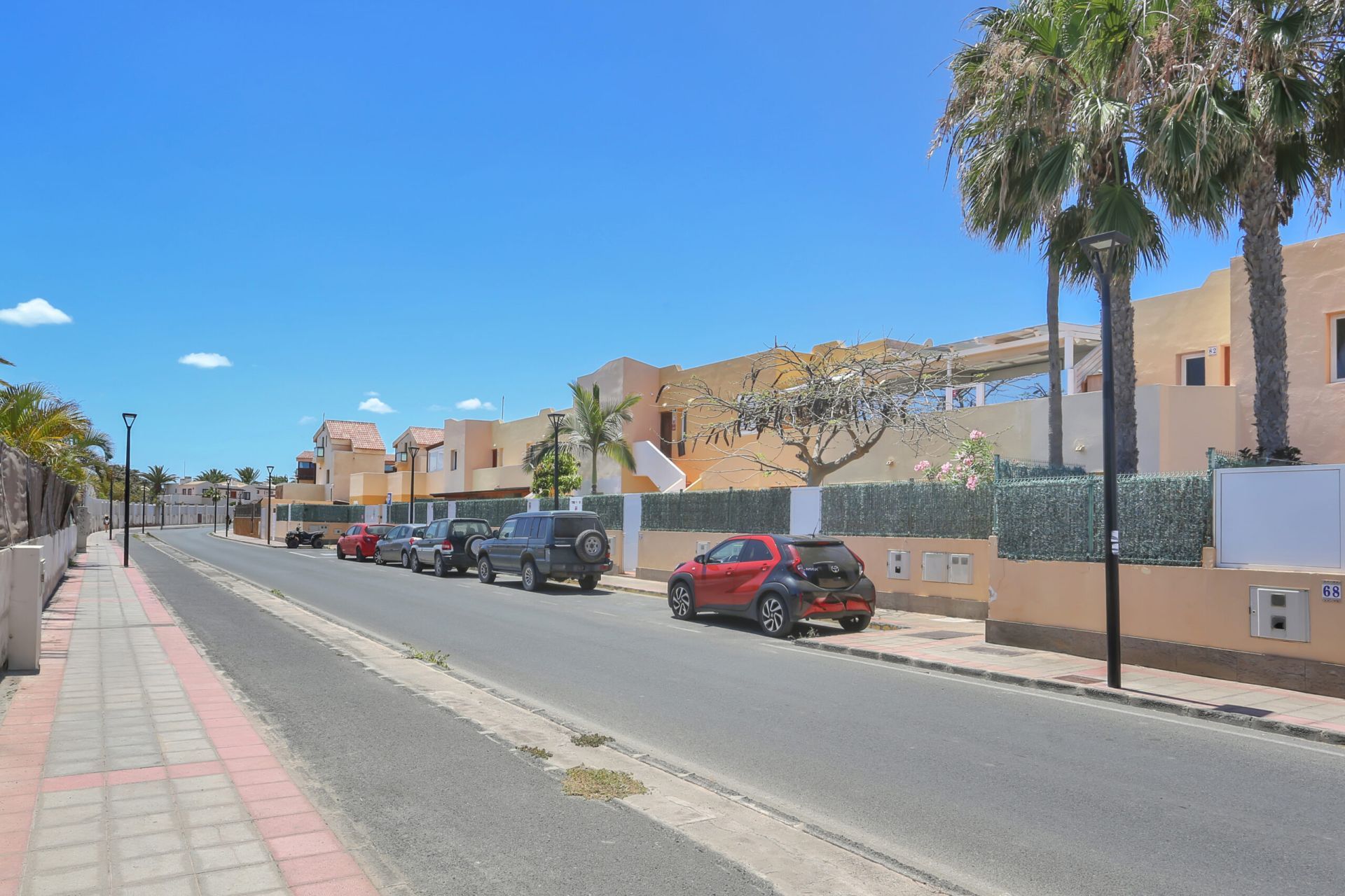 Los Maestros, Los Delfines Corralejo - foto 27